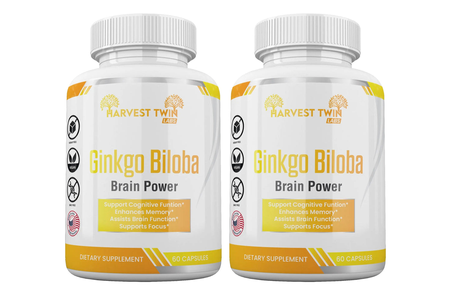 Ginkgo Biloba